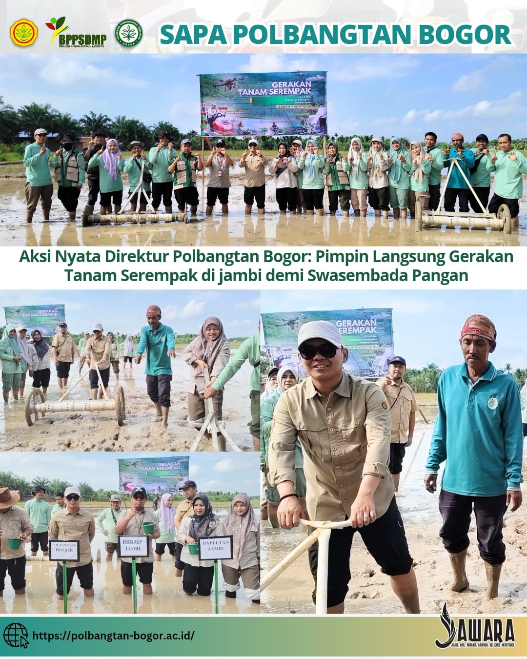 Aksi Nyata Direktur Polbangtan Bogor: Pimpin Langsung Gerakan Tanam Serempak di jambi demi Swasembada Pangan