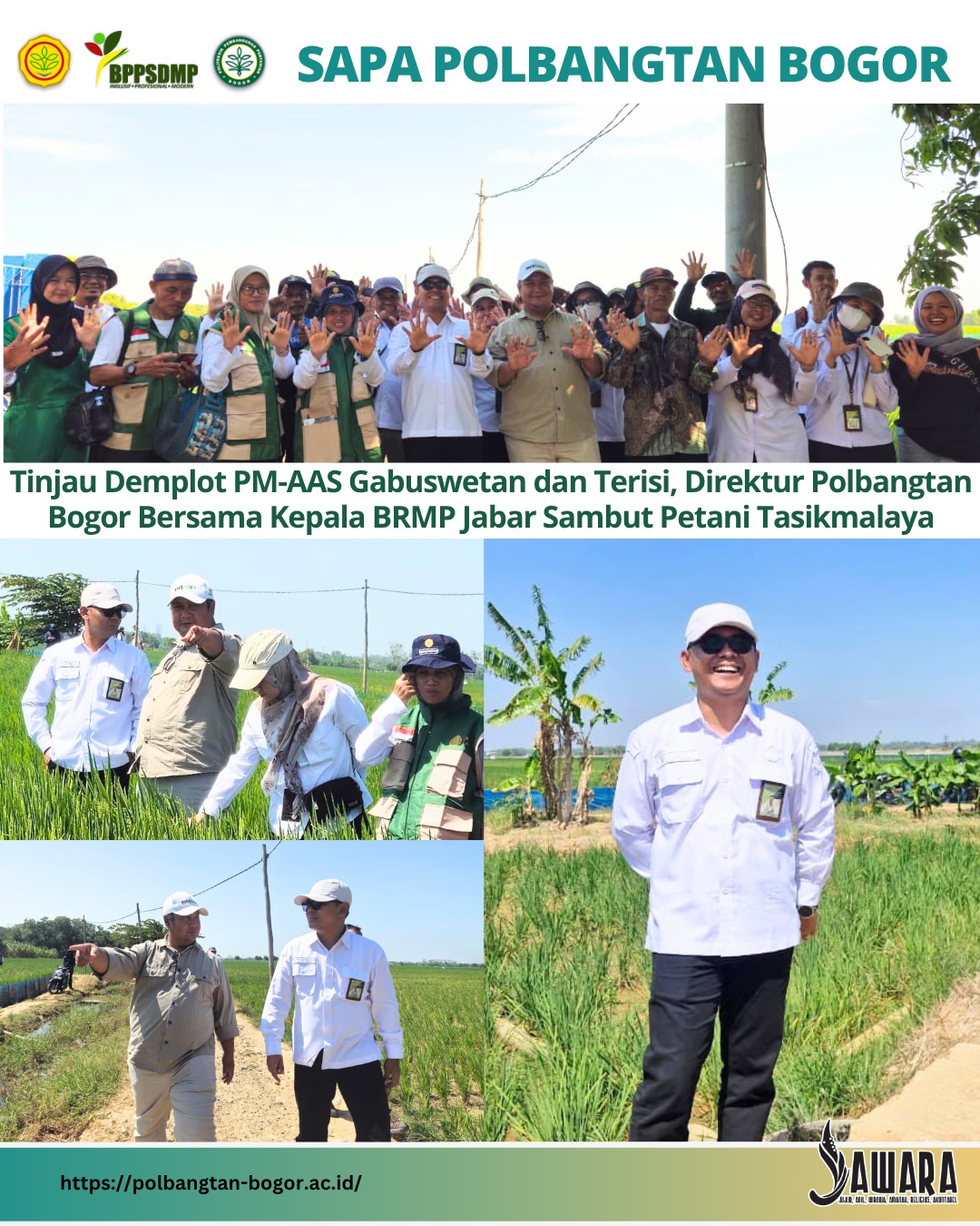 Tinjau Demplot PM-AAS Gabuswetan dan Terisi, Direktur Polbangtan Bogor Bersama Kepala BRMP Jabar Sambut Petani Tasikmalaya