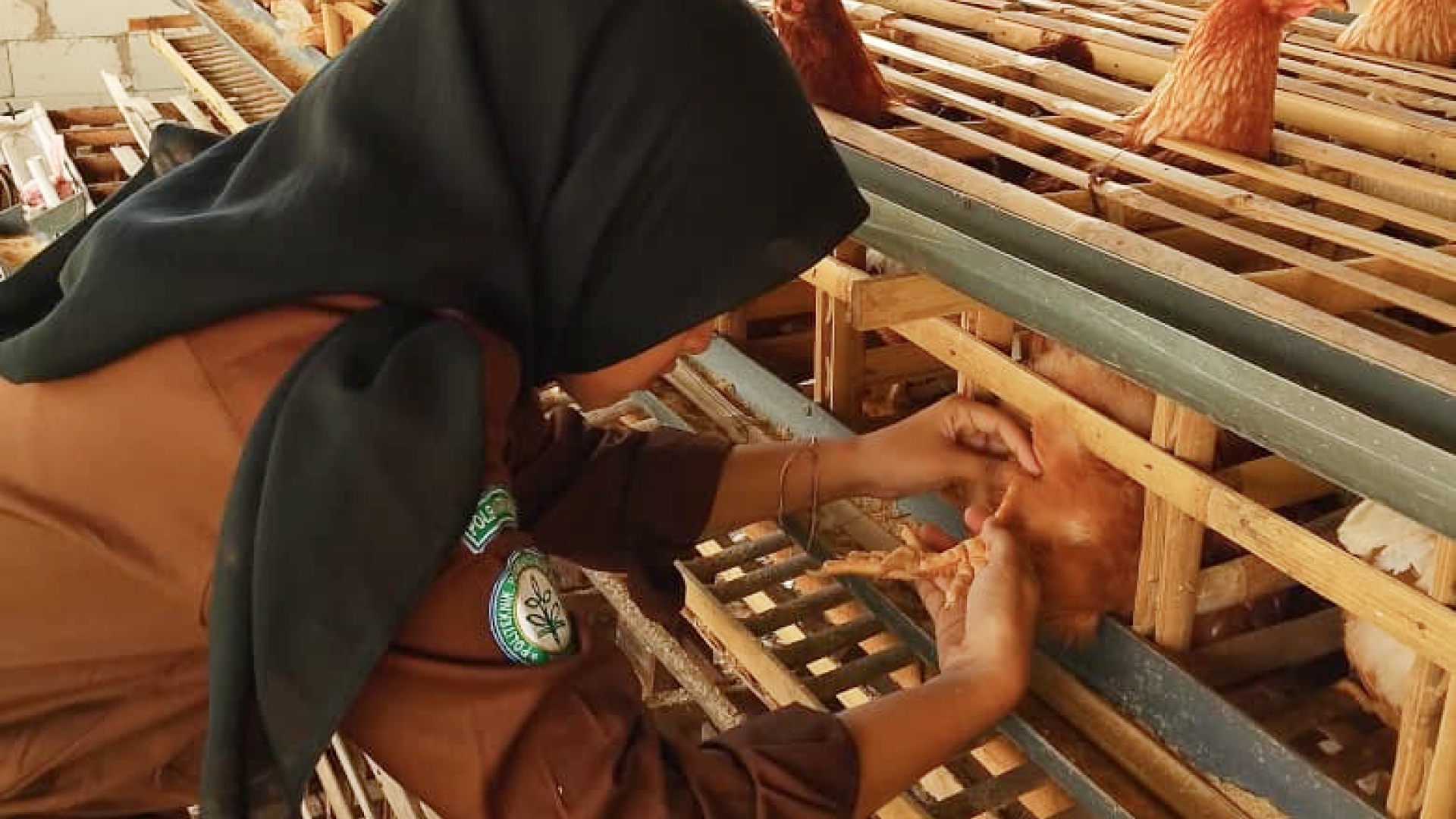 Kenal dengan Dunia Usaha Lewat Teaching Factory Polbangtan Bogor