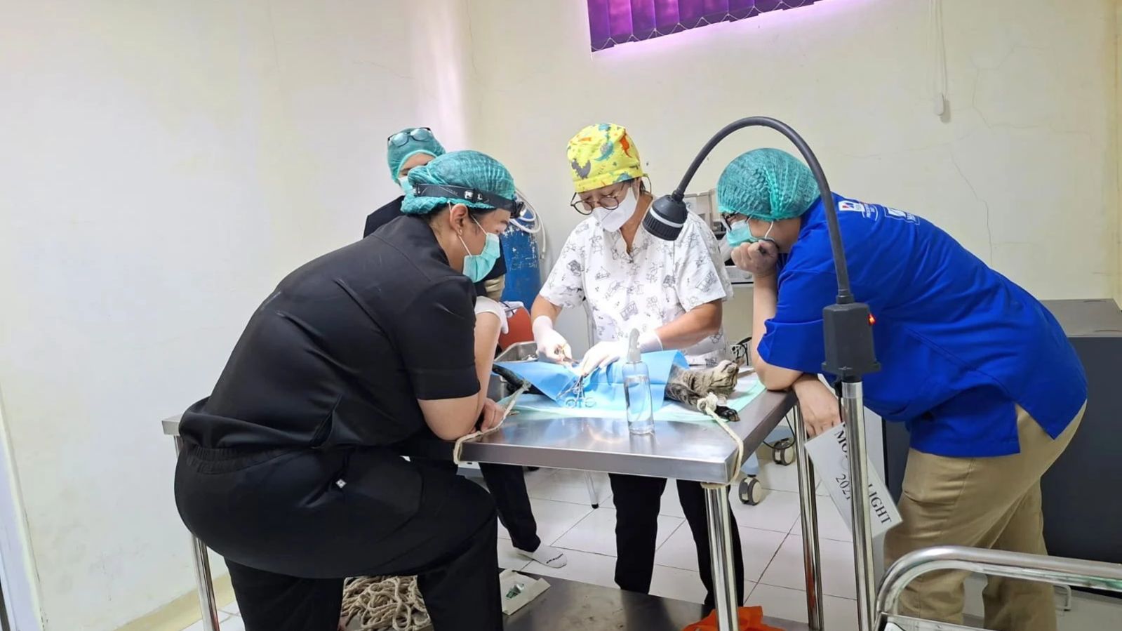 World Rabies Day, Polbangtan Kementan Ajak Masyarakat Peduli Kesehatan dan Populasi Hewan